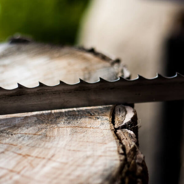 Hydrauliczny chwytak do drewna