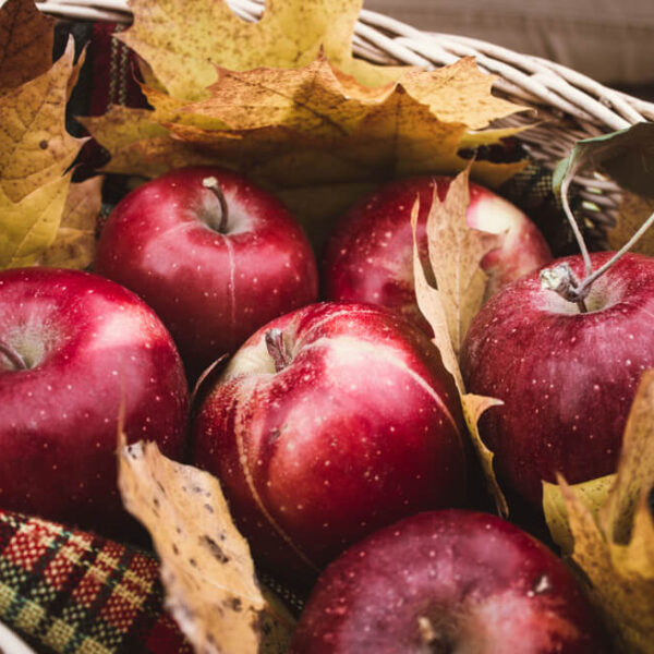 Opryskiwacz deflektorowy